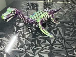 Skeleton Plesiosaurus
