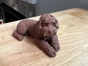 Cockapoo / Cockapoodle Lying Down
