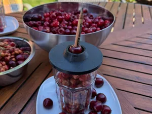 IKEA POKAL cherry pitter Kirschkernentferner