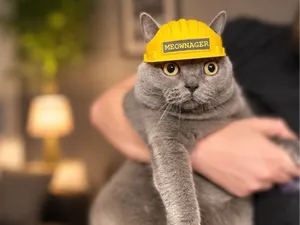 Best Construction helmet for CAT Hard Hat