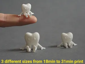 Funny tooth (from 18min, sizes vary)
