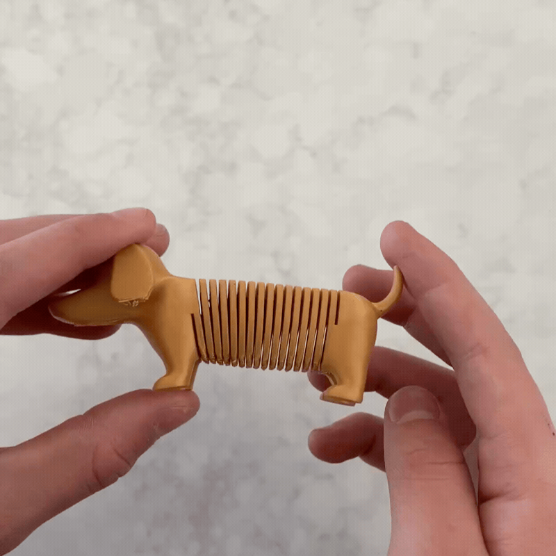 Sausage Dog Spring Toy