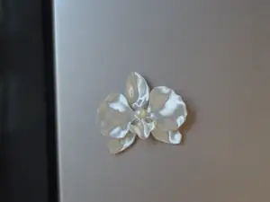 蝴蝶兰2