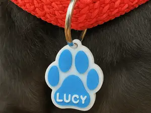 Cat/Dog/Pet nametag
