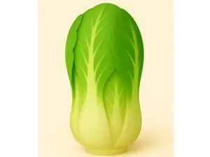 Chineese Cabbage