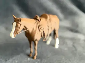 Western horse