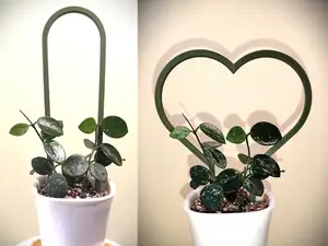 4x Cute Geometric Mini Trellises / Plant Supports