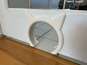 Cat Door