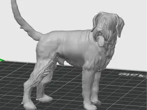 Schnauzer Gigante