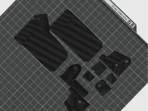 BCG 456
