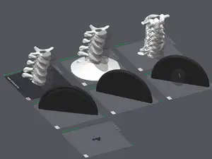 Spine Helmet Stand with cutout options for lights