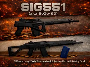 SIG551 (StGw 90) Modular Foldable Model
