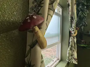 Mushroom Curtain Holders