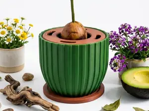 Modern Avocado Germination \ Planter \ Grower Set