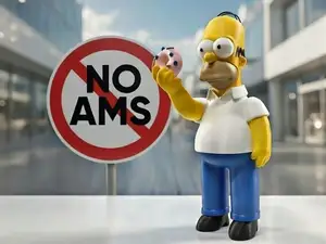 Homer Simpson - NO AMS -