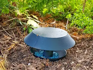 Snail Trap - Slug Trap