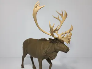 Realistic Caribou / Reindeer