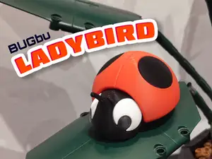 Bugbu Ladybird