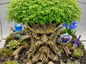 Deku Tree Planter