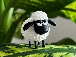 Grumpy Fluffy Sheep