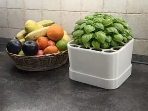Parametric Self-Watering Planter System