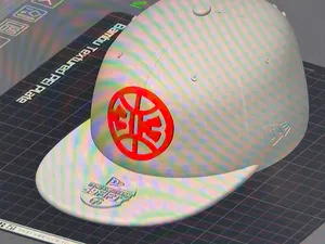 Collectable Cap - 313