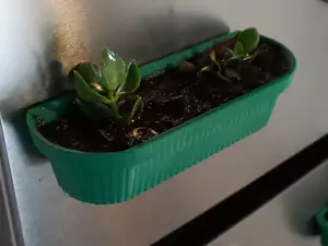 Long magnetic pot planter