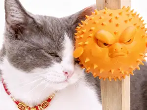 愤怒的河豚- 宠物挠痒器 猫狗蹭痒按摩神器