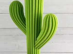 Kaktus