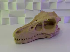 Velociraptor skull V2