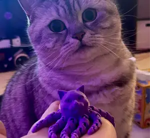 Cat Octopus Hybrid