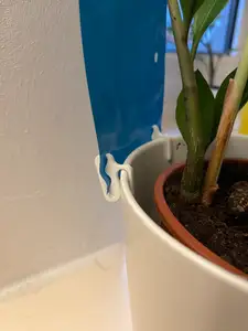 Fruit Fly Trap Holder for your Plant Pots