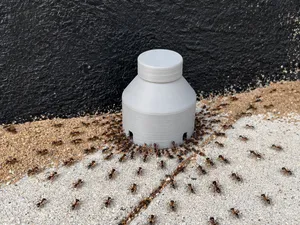 Ant trap - Pillet baits