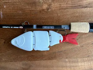 6 Inch Swimbait (TPU Tail)
