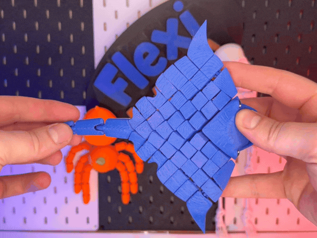 Flexi Stingray | One-Piece Articulated Ray