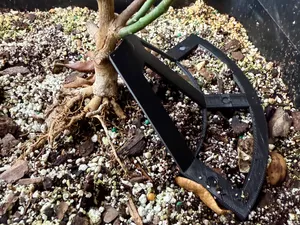 Mini Tree Support – for Small Potted Trees