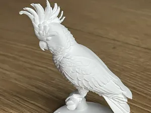 Detailed Cockatoo bust