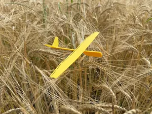 Glider V-Tail Airplane with Flaps