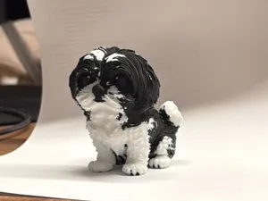 Shih Tzu