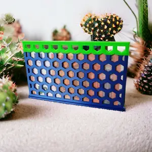 Funny Caged gift