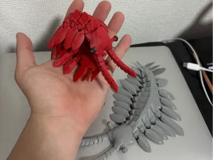 Anomalocaris Prehistoric life