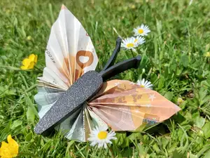 Geld Schmetterling VERBESSERTE VERSION Geschenk