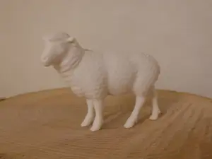 Schaf 4