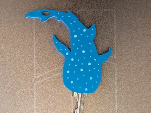 Whale Shark Key cover