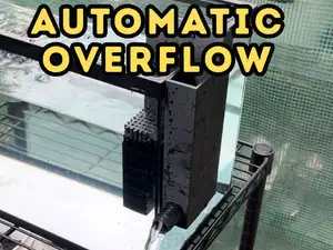 Aquarium overflow with surface skimmer