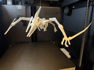 Pterodactyl Dinosaur Skeleton Puzzle