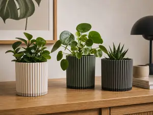 Modern Plant Planter - Flowerpot With Saucer