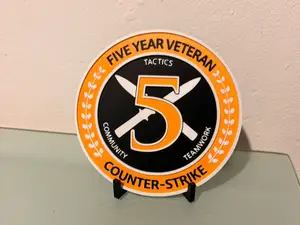 5 Jahre Veteranen Münze aus CS GO und CS2 (AMS)