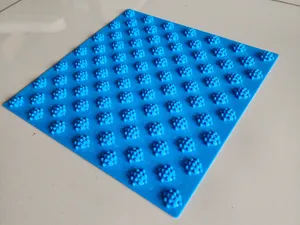 Dog Paw Target for Training & Rehab