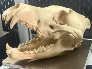 Lifesize Dire Wolf Skull | Full Bed Print